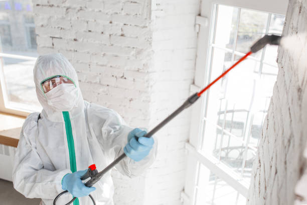 Best Forensic Mold Investigation  in Wabasso, FL