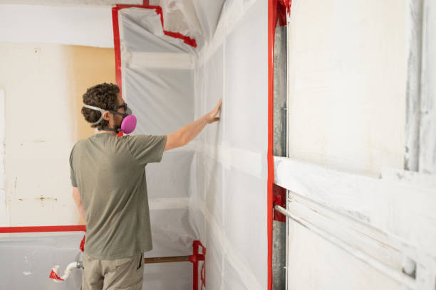 Best Mold Prevention Services  in Wabasso, FL