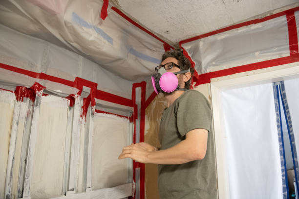 Best Indoor Air Quality Assessment  in Wabasso, FL