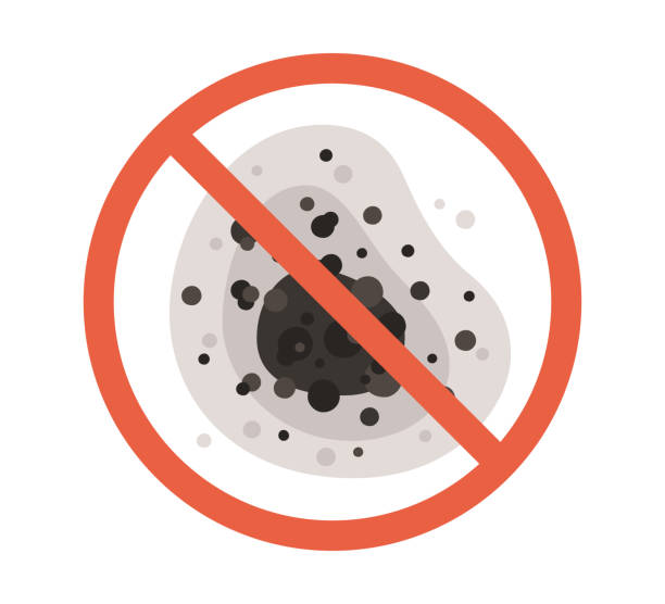 Wabasso, FL Mold Removal Company