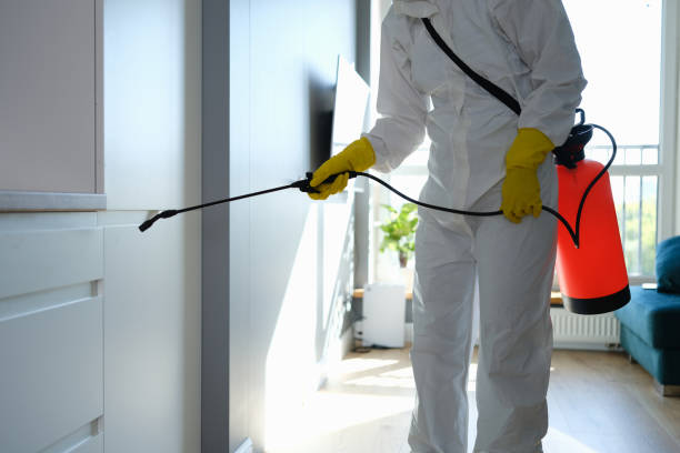 Best Water Damage & Mold Remediation  in Wabasso, FL